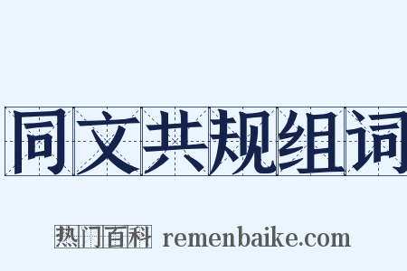 同文共规组词是什么意思的图片